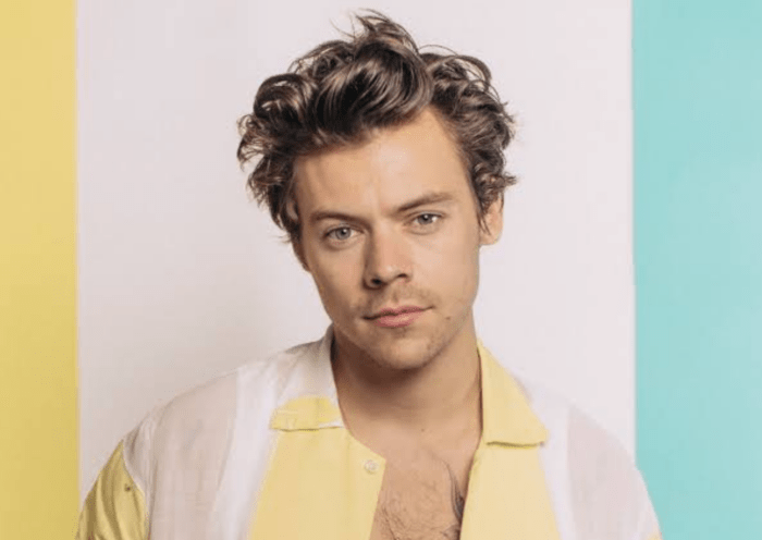 Harry Styles- O Ícone da Geração Z e Como Sua Jornada Pode Te Inspirar