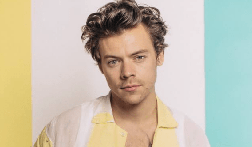 Harry Styles- O Ícone da Geração Z e Como Sua Jornada Pode Te Inspirar