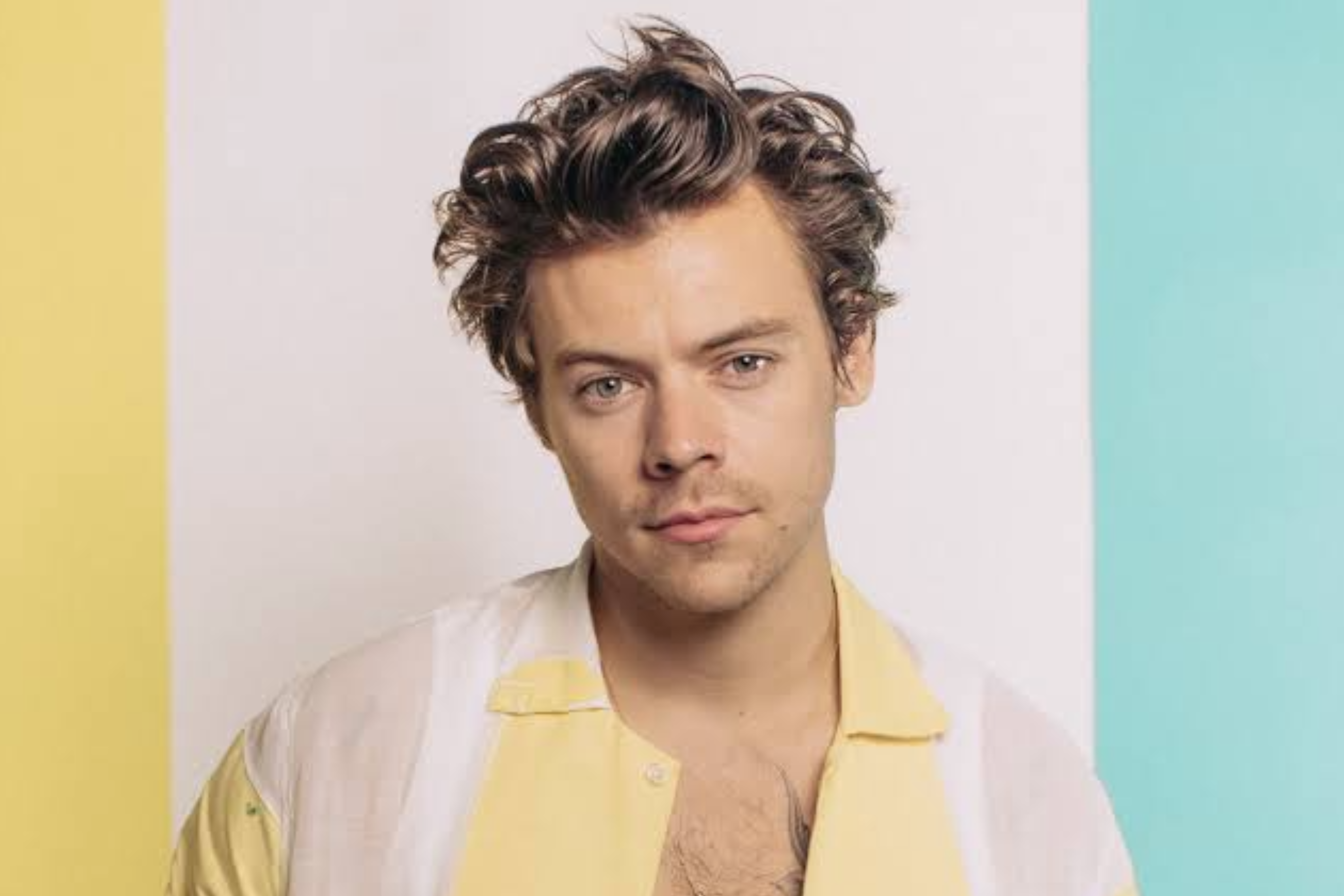 Harry Styles- O Ícone da Geração Z e Como Sua Jornada Pode Te Inspirar